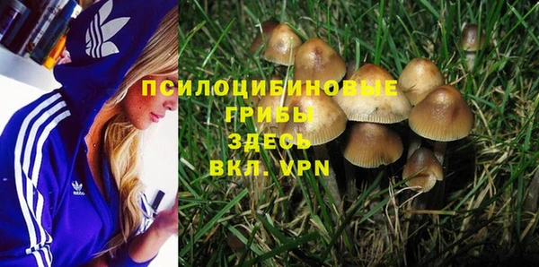 эйфоретик Волоколамск