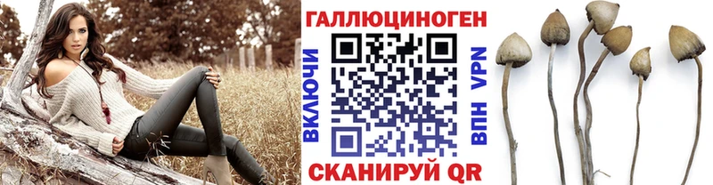 Галлюциногенные грибы GOLDEN TEACHER  Купить  Гатчина 